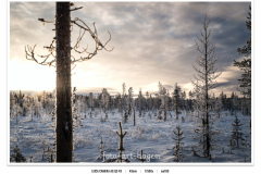 Finnland-14_f8frame